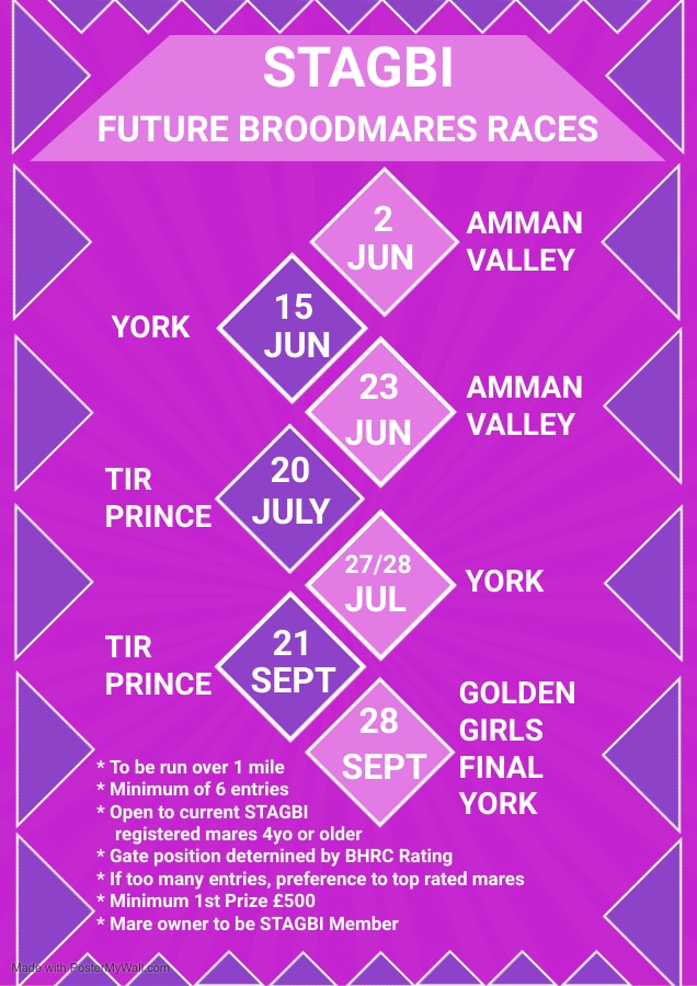 STAGBI Future Broodmares' Races 2024 STAGBI