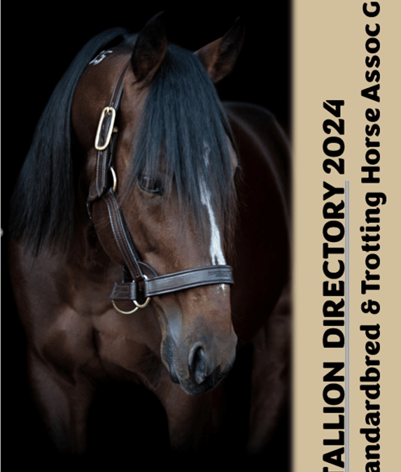 Stallion Directory 2024